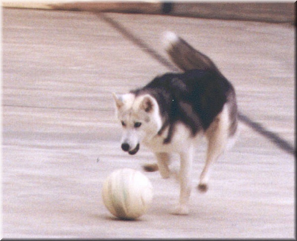 004 A por ella.jpg