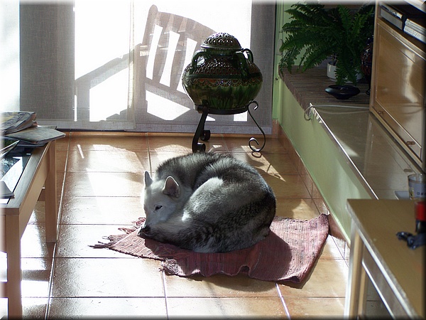 008 Rico Sol.JPG