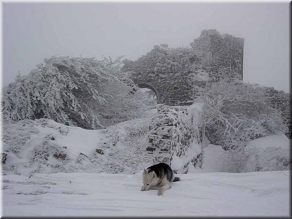 012 Fuerte de Belate.jpg