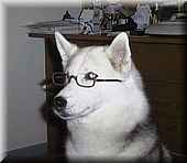 013 Ahora algo de lectura.jpg