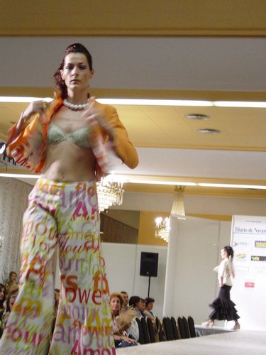 Desfile-2004-Rosa-3027.jpg