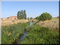 4 - 30 Agosto 2010 Benavente - Leon