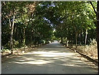 021-Sevilla-Parque de Maria Luisa-DSC00918.JPG