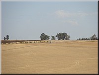 041-DSC00993.JPG