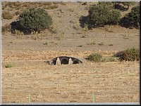 30-agosto-2009-Plasencia