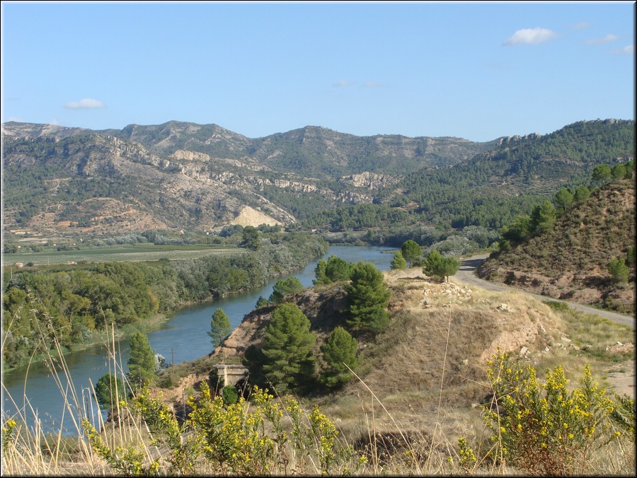 0130-entre Asco y Mora D'Ebre-DSC01329.JPG