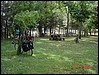015-RPlata-Santander 021.jpg