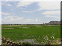 DSC03473.JPG
