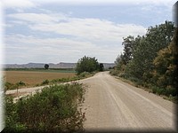 DSC03481.JPG