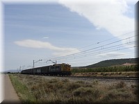 DSC03493.JPG