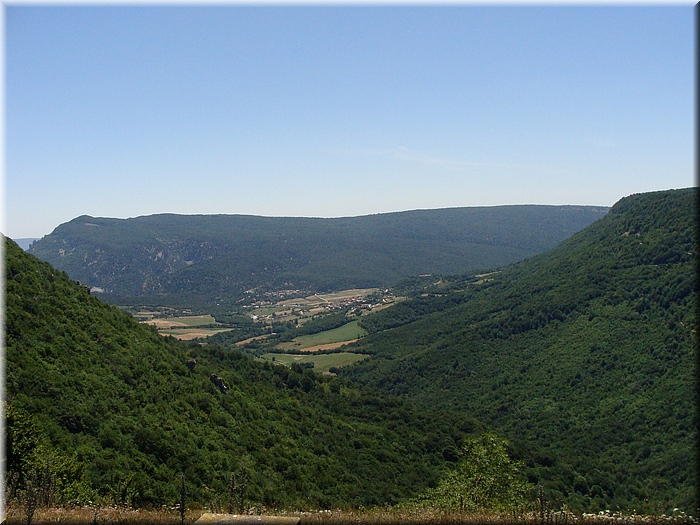 DSC03516.JPG