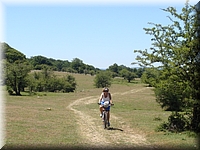 DSC03501.JPG
