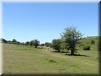 DSC03504.JPG