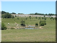 DSC03506.JPG