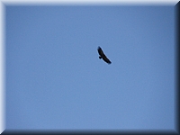 DSC03515.JPG